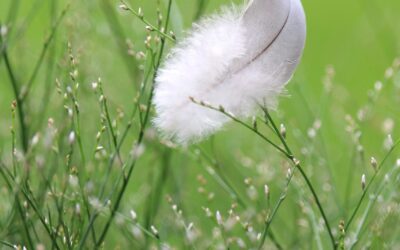 Finding Magic in the Breadcrumbs: Embracing Life’s Subtle Signs