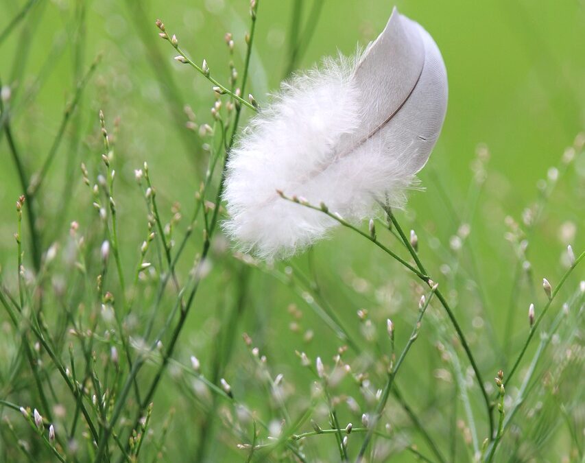 Finding Magic in the Breadcrumbs: Embracing Life’s Subtle Signs